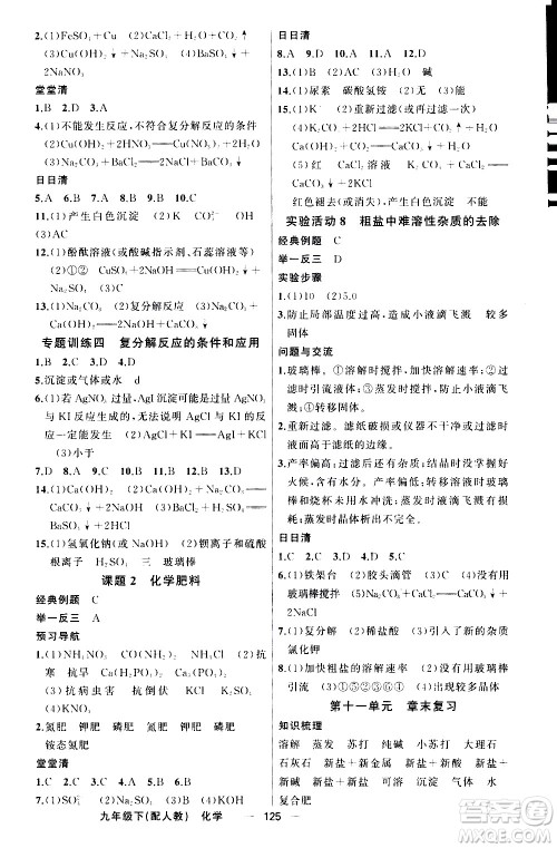 新疆青少年出版社2021四清导航化学九年级下册人教版答案