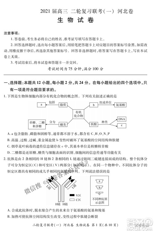 百师联盟2021届高三二轮复习联考一新河北卷生物试卷及答案