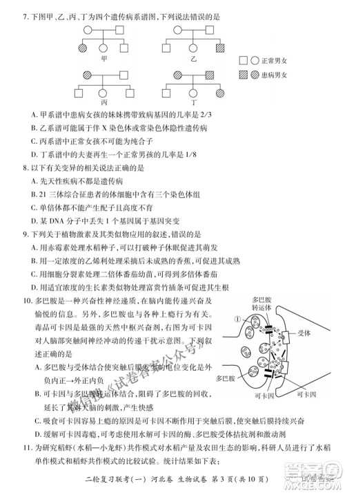 百师联盟2021届高三二轮复习联考一新河北卷生物试卷及答案 百师联盟2021届高三二轮复习联考一新河北卷生物试卷及答案