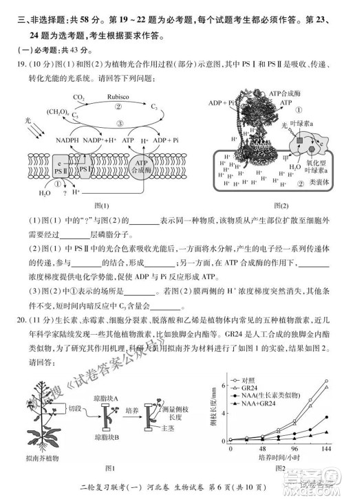 百师联盟2021届高三二轮复习联考一新河北卷生物试卷及答案