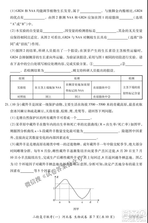 百师联盟2021届高三二轮复习联考一新河北卷生物试卷及答案 百师联盟2021届高三二轮复习联考一新河北卷生物试卷及答案