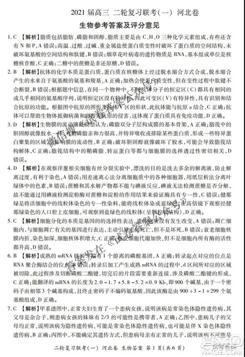 百师联盟2021届高三二轮复习联考一新河北卷生物试卷及答案 百师联盟2021届高三二轮复习联考一新河北卷生物试卷及答案