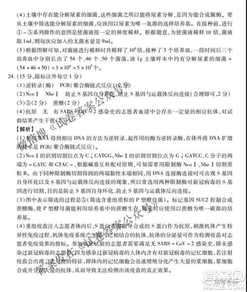 百师联盟2021届高三二轮复习联考一新河北卷生物试卷及答案 百师联盟2021届高三二轮复习联考一新河北卷生物试卷及答案