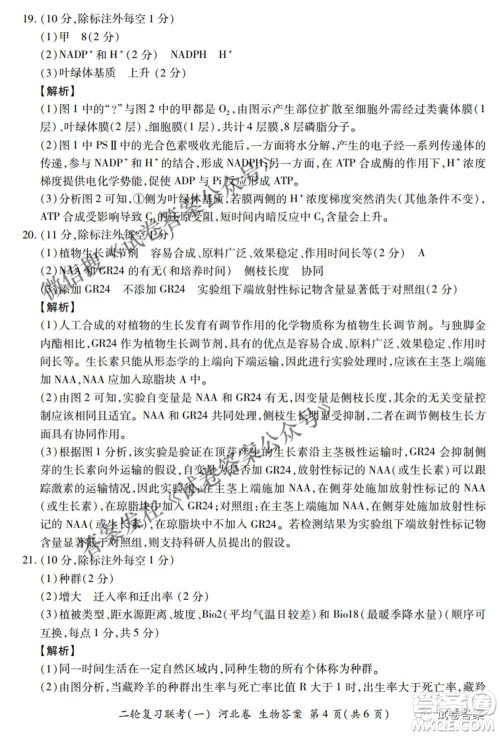 百师联盟2021届高三二轮复习联考一新河北卷生物试卷及答案 百师联盟2021届高三二轮复习联考一新河北卷生物试卷及答案
