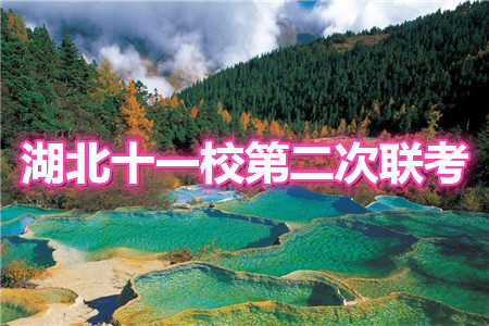 2021届高三湖北十一校第二次联考语文试题及答案 2021届高三湖北十一校第二次联考语文试题及答案