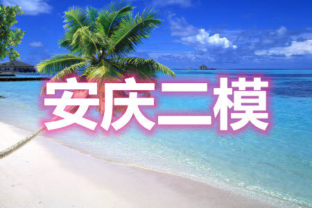 2021年安庆市高考模拟试题二模理科数学试题及答案