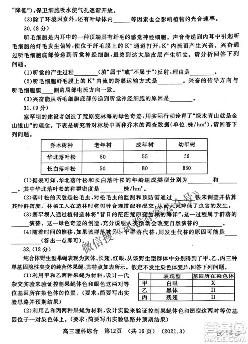 洛阳市2020-2021学年高中三年级第二次统一考试理科综合试题及答案