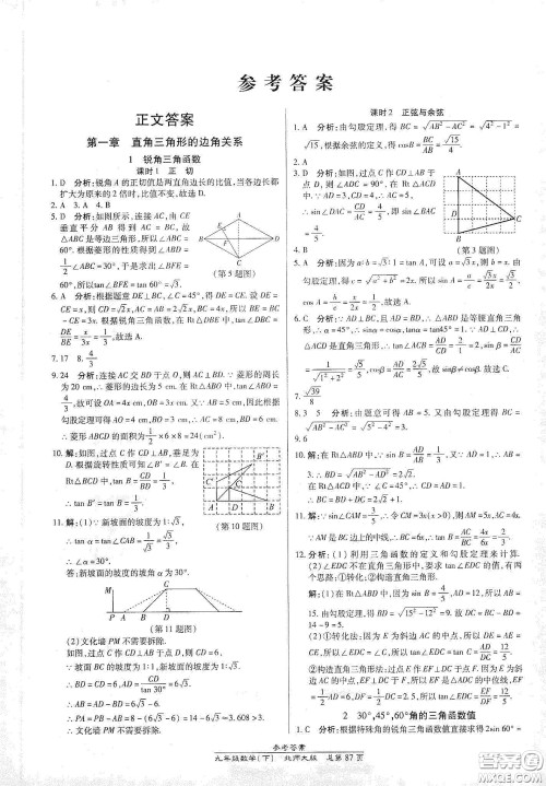 阳光出版社2021汇文图书卓越课堂九年级数学下册北师大版答案