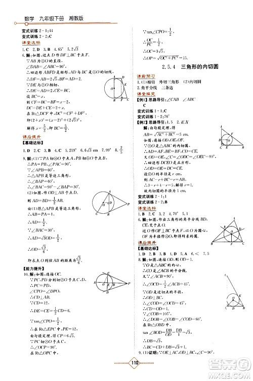 湖南教育出版社2021学法大视野数学九年级下册湘教版答案