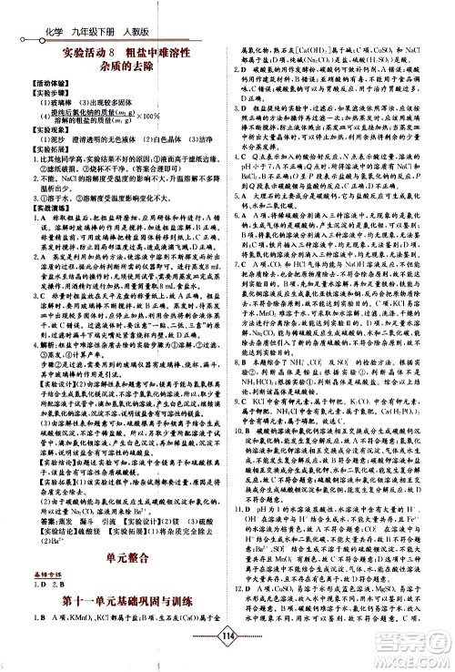 湖南教育出版社2021学法大视野化学九年级下册人教版答案