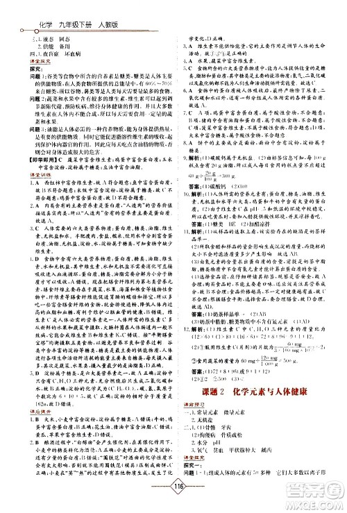 湖南教育出版社2021学法大视野化学九年级下册人教版答案