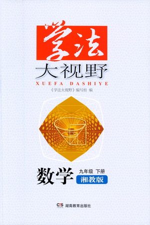 湖南教育出版社2021学法大视野数学九年级下册湘教版答案