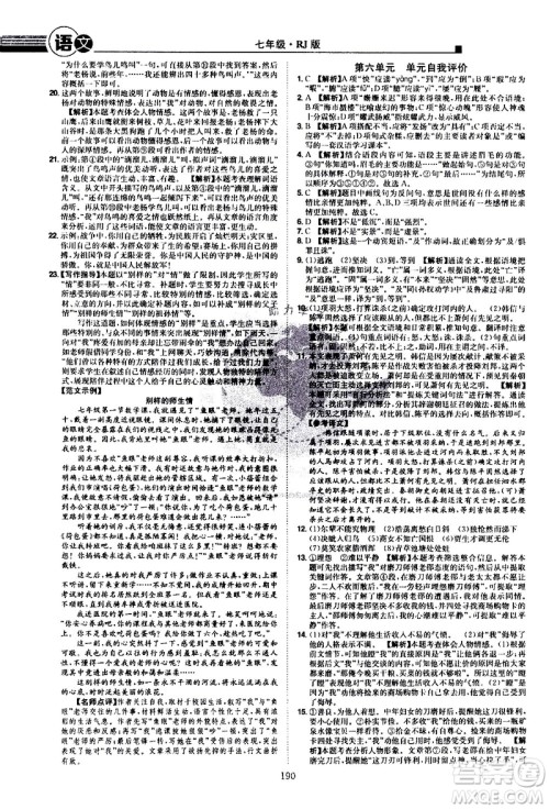 江西美术出版社2021学海风暴语文七年级下册RJ人教版答案