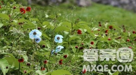 影响世界的中国___为副标题广播稿作文800字 关于以影响世界的中国___为副标题的广播稿作文800字 影响世界的中国___为副标题广播稿作文800字 关于以影响世界的中国___为副标题的广播稿作文800字