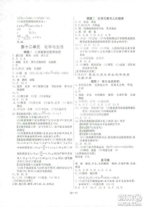 江苏人民出版社2021春雨教育课时训练九年级化学下册人民教育版答案