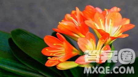 我的少年时代作文600字 关于我的少年时代的作文600字 我的少年时代作文600字 关于我的少年时代的作文600字