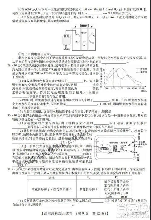内蒙古2021高三年级三月模拟调研卷理科综合试题及答案 内蒙古2021高三年级三月模拟调研卷理科综合试题及答案