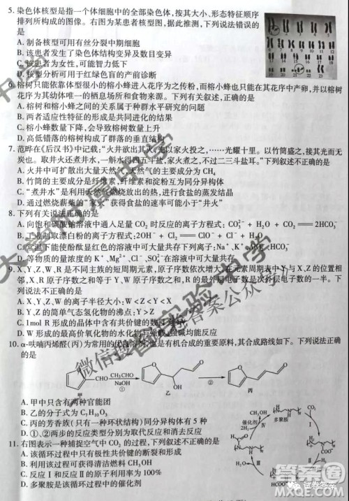 东北三省三校2021年高三第二次联合模拟考试理科综合试题及答案
