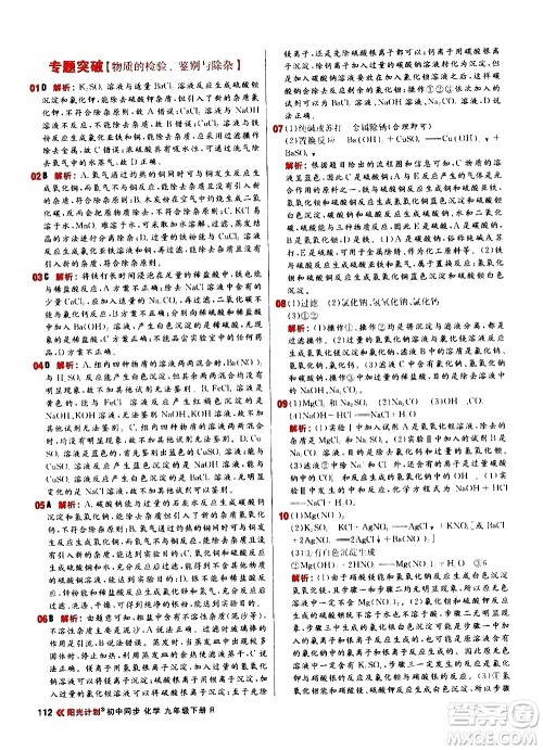 黑龙江教育出版社2021春阳光计划初中同步化学九年级下册R人教版答案
