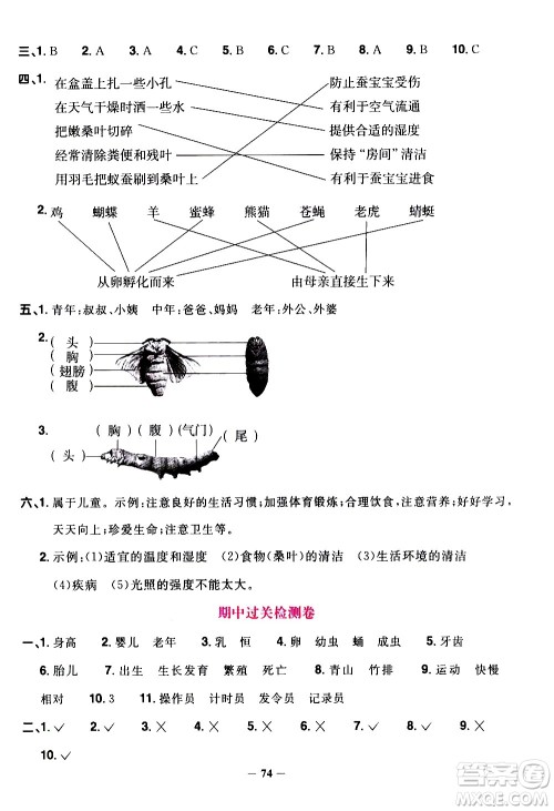 江西教育出版社2021阳光同学课时优化作业科学三年级下册JK教科版答案 江西教育出版社2021阳光同学课时优化作业科学三年级下册JK教科版答案
