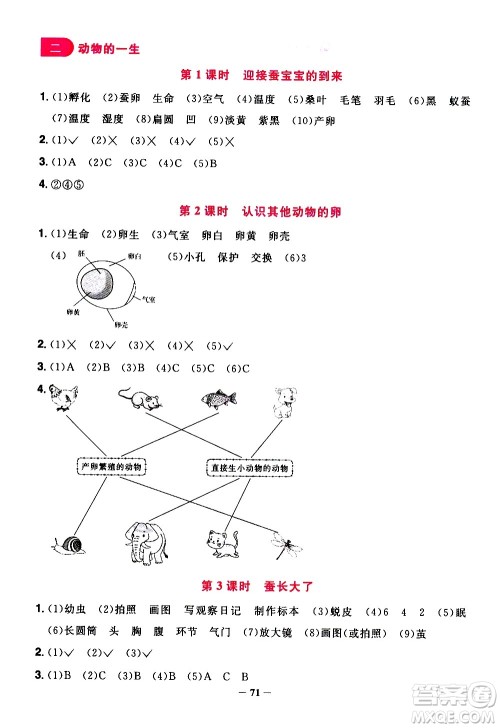江西教育出版社2021阳光同学课时优化作业科学三年级下册JK教科版答案 江西教育出版社2021阳光同学课时优化作业科学三年级下册JK教科版答案
