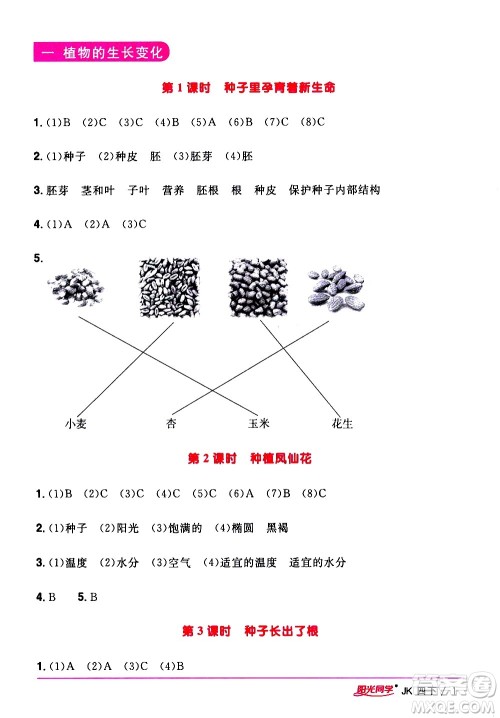 江西教育出版社2021阳光同学课时优化作业科学四年级下册JK教科版答案