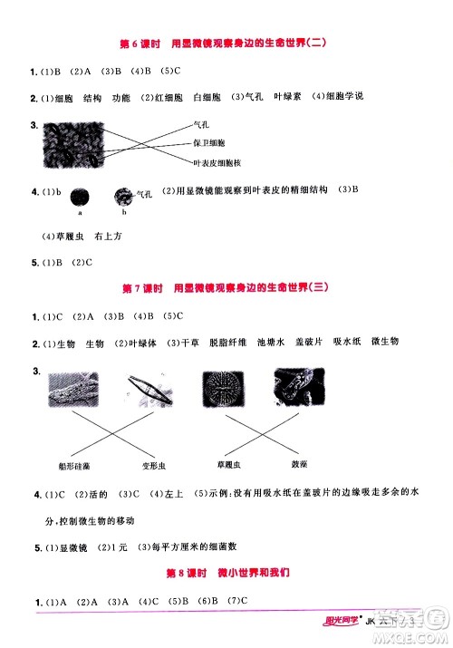 江西教育出版社2021阳光同学课时优化作业科学六年级下册JK教科版答案 江西教育出版社2021阳光同学课时优化作业科学六年级下册JK教科版答案