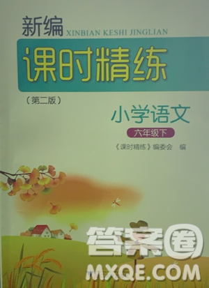 浙江大学出版社2021新编课时精练第二版小学语文六年级下册答案