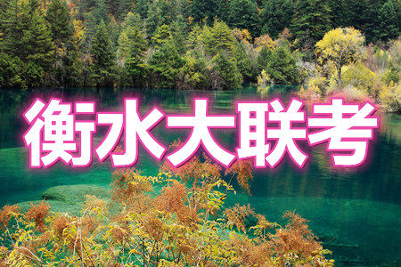 2021届高三冲刺联考文科数学试卷及答案 2021届高三冲刺联考文科数学试卷及答案