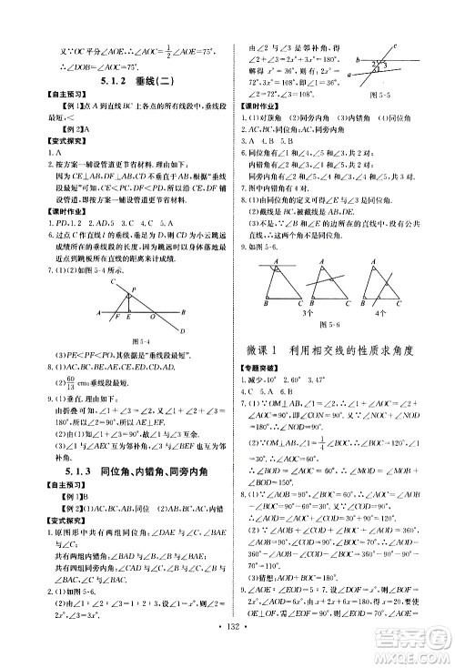 湖北少年儿童出版社2021长江全能学案同步练习册数学七年级下册人教版答案