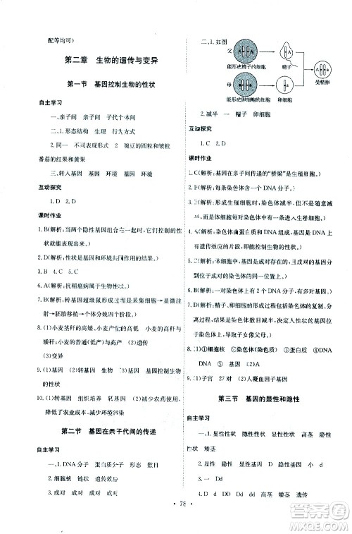 崇文书局2021长江全能学案同步练习册生物学八年级下册人教版答案 崇文书局2021长江全能学案同步练习册生物学八年级下册人教版答案
