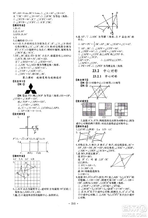 湖北少年儿童出版社2021长江全能学案同步练习册数学九年级全一册人教版答案