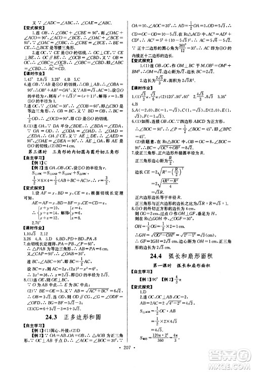 湖北少年儿童出版社2021长江全能学案同步练习册数学九年级全一册人教版答案
