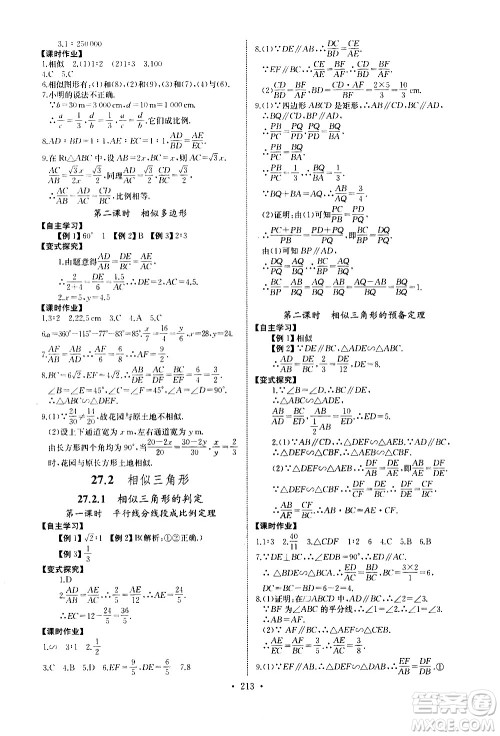 湖北少年儿童出版社2021长江全能学案同步练习册数学九年级全一册人教版答案