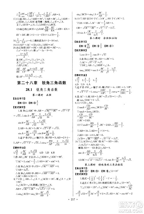 湖北少年儿童出版社2021长江全能学案同步练习册数学九年级全一册人教版答案