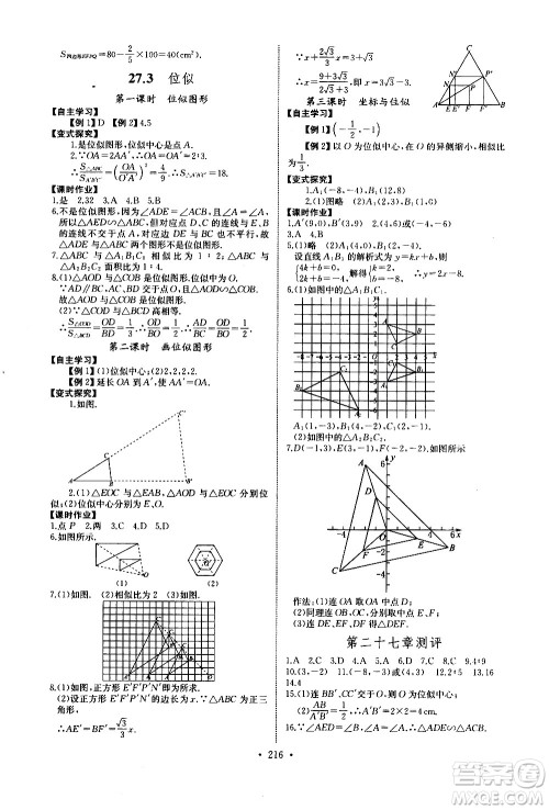 湖北少年儿童出版社2021长江全能学案同步练习册数学九年级全一册人教版答案