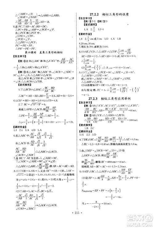 湖北少年儿童出版社2021长江全能学案同步练习册数学九年级全一册人教版答案