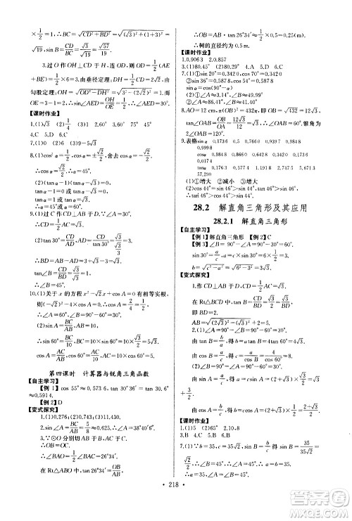 湖北少年儿童出版社2021长江全能学案同步练习册数学九年级全一册人教版答案