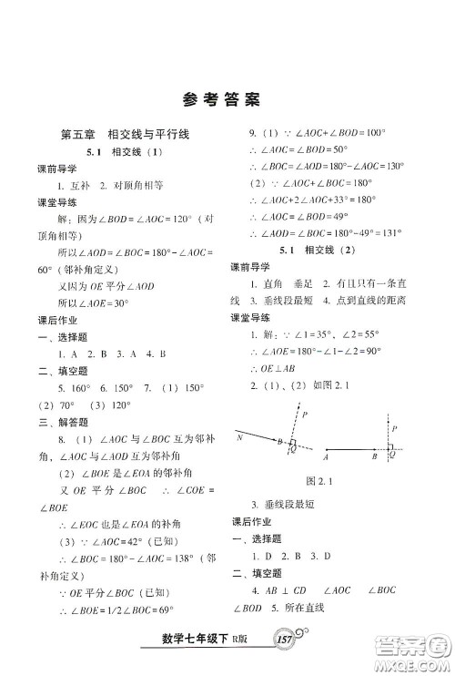 辽宁教育出版社2021尖子生新课堂课时作业七年级数学下册人教版答案