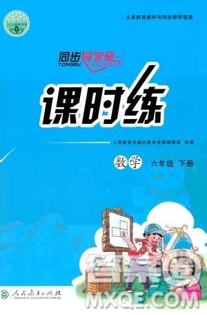 人民教育出版社2021同步导学案课时练六年级数学下册人教版答案