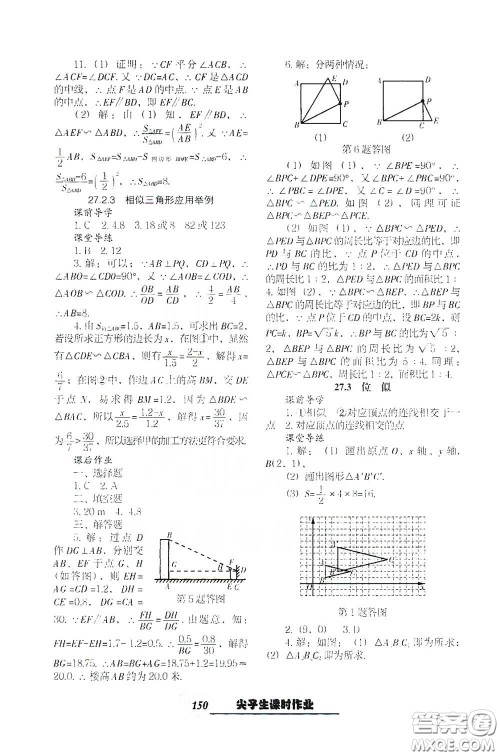 辽宁教育出版社2021尖子生新课堂课时作业九年级数学下册人教版答案