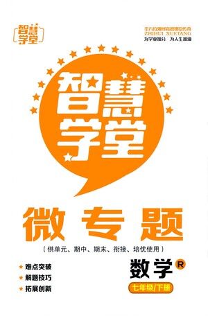 天津科学技术出版社2021智慧学堂微专题数学七年级下册R人教版答案