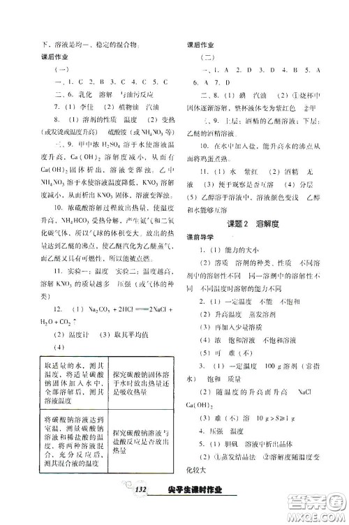 辽宁教育出版社2021尖子生新课堂课时作业九年级化学下册人教版答案