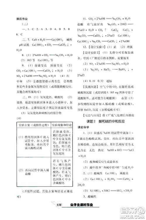 辽宁教育出版社2021尖子生新课堂课时作业九年级化学下册人教版答案