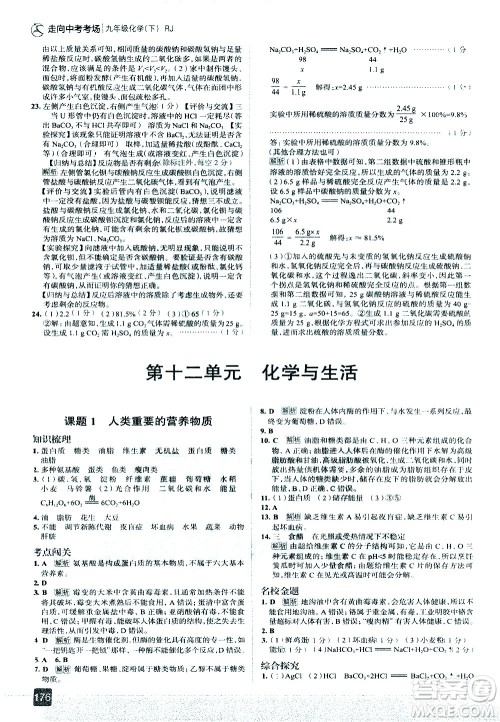 现代教育出版社2021走向中考考场化学九年级下册RJ人教版答案