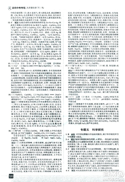 现代教育出版社2021走向中考考场化学九年级下册RJ人教版答案
