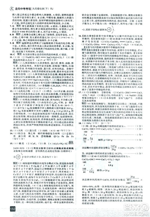 现代教育出版社2021走向中考考场化学九年级下册RJ人教版答案