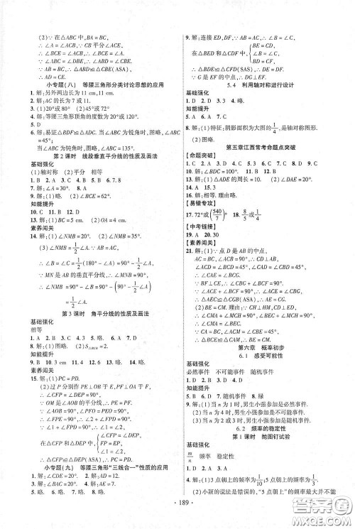 宁夏人民教育出版社2021畅优新课堂七年级数学下册北师大版江西专版答案