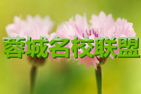 蓉城名校联盟2018级高三第三次联考语文试题及答案 蓉城名校联盟2018级高三第三次联考语文试题及答案