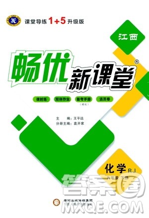 宁夏人民教育出版社2021畅优新课堂九年级化学下册人教版江西专版答案